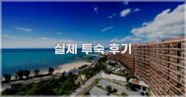 💬 실제 투숙 후기