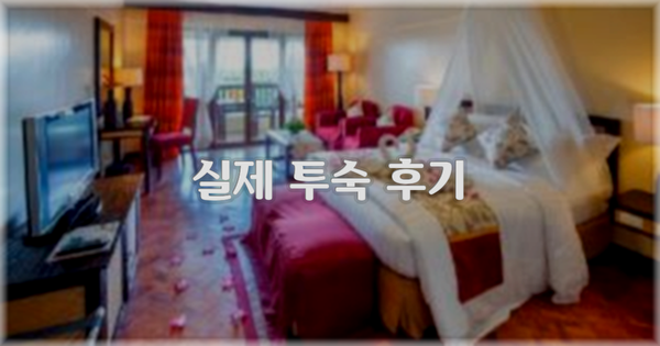 💬 실제 투숙 후기