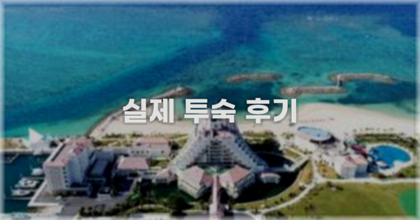 💬 실제 투숙 후기