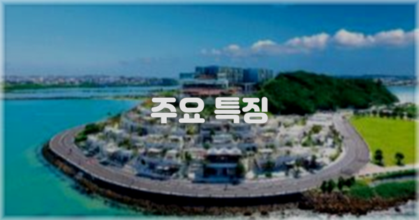 ✨ 주요 특징