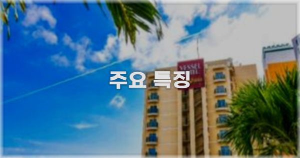 ✨ 주요 특징