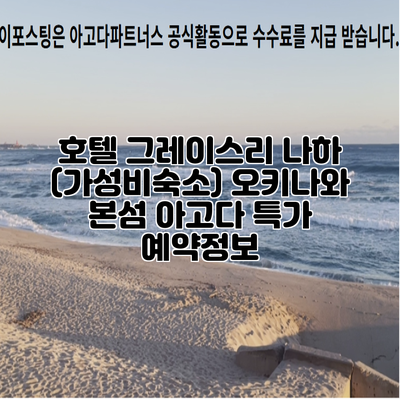 호텔 그레이스리 나하 (가성비숙소) 오키나와 본섬 아고다 특가 예약정보