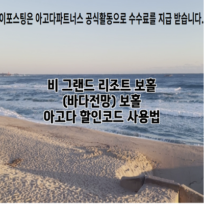 비 그랜드 리조트 보홀 (바다전망) 보홀 아고다 할인코드 사용법